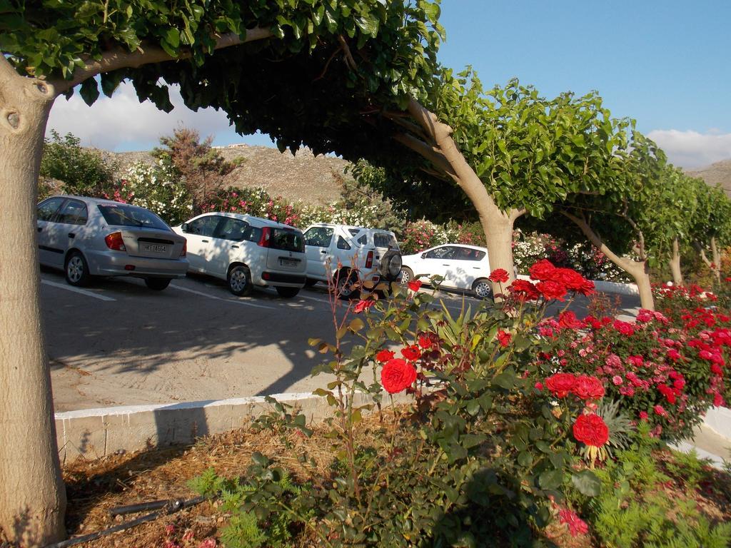 Kato Zakros Palace Apartments Exterior foto